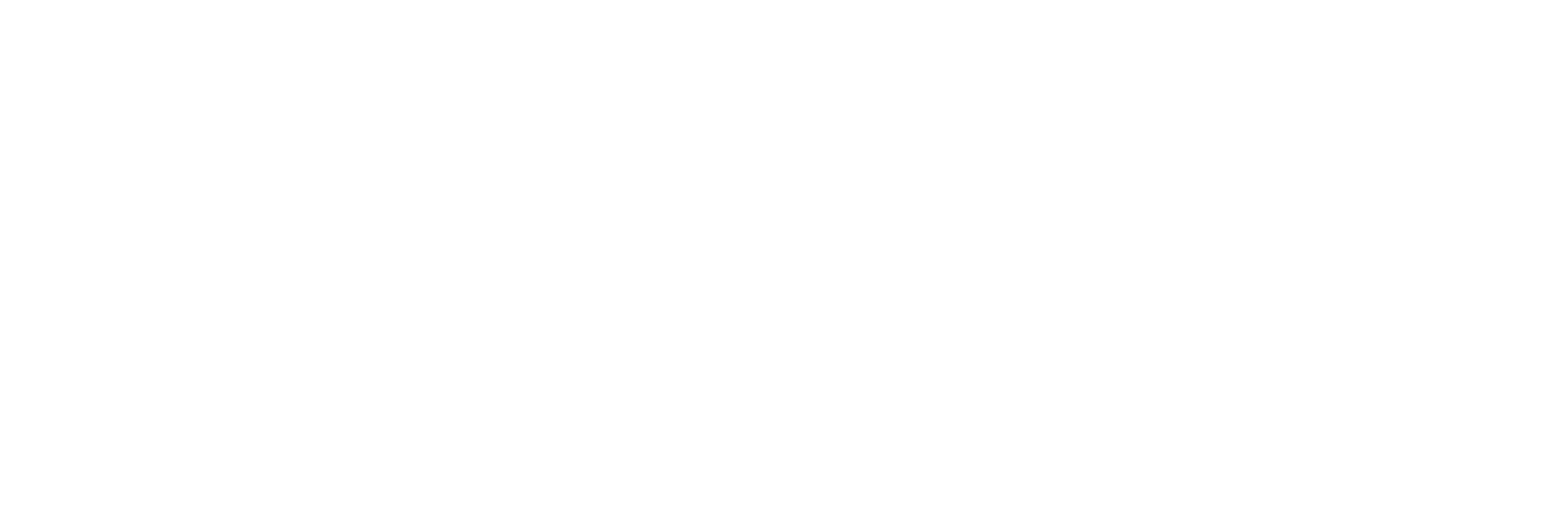 WordPress logo